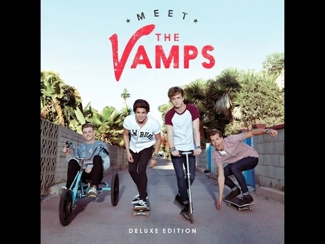 The Vamps - Risk It All Lyrics background