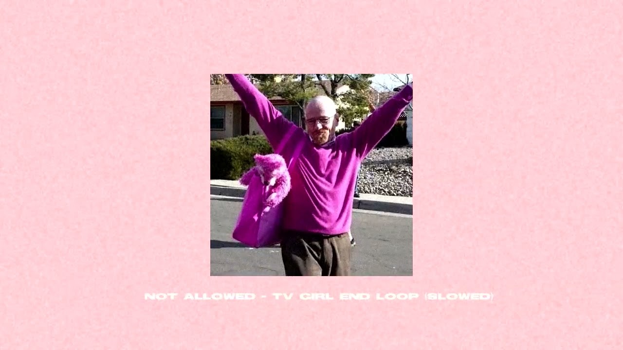 not allowed tv girl instrumental end loop slowed background