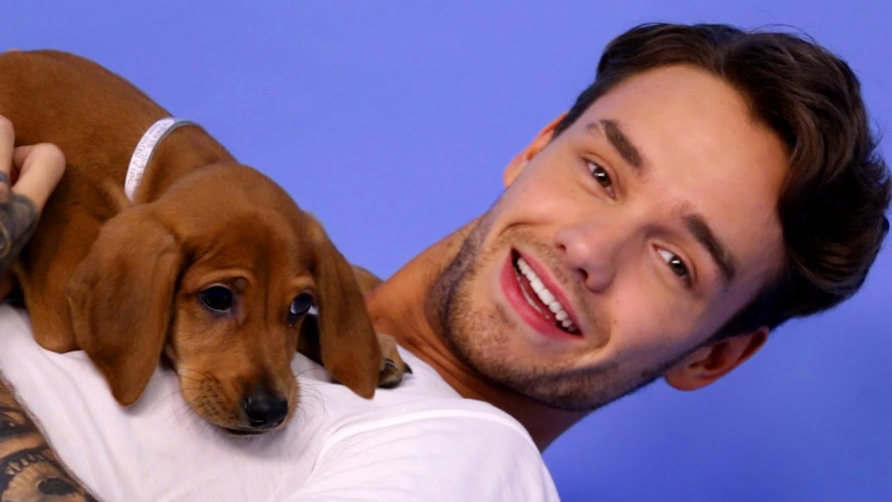 Liam Payne Plays With Puppies background