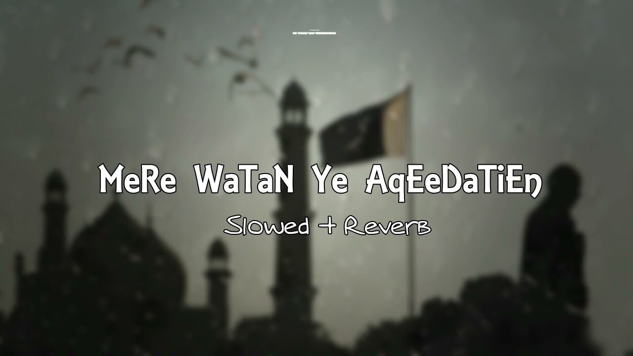 Mere Watan Ye Aqeedatien Slowed And Reverb|14 August Song|Hammad Ali Shah|SlowedAndReverb Song Lover