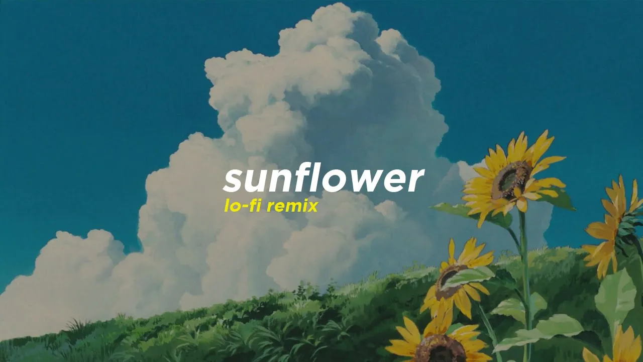 Rex Orange County - Sunflower (Alphasvara Lo-Fi Remix) background