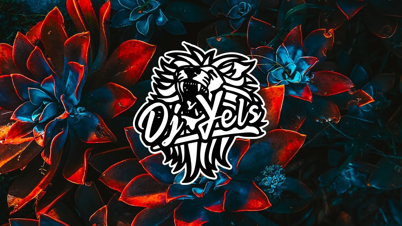 TENI ✘ DJ YELS - Marry (ZOUK MIX) 2K20 background