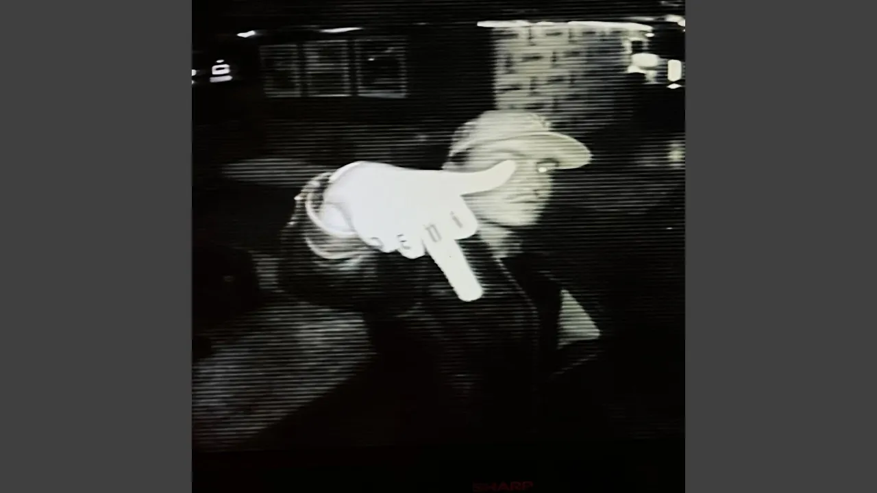 MILLION DOLLAR BABY (VHS) background