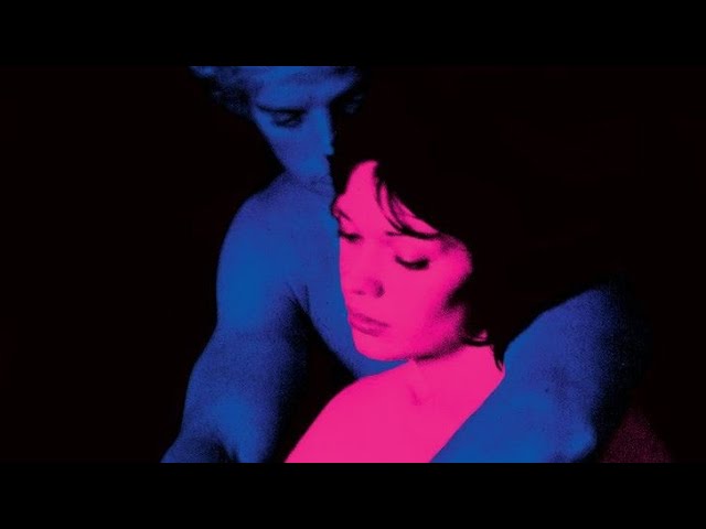 Tv Girl Playlist || the best of the band