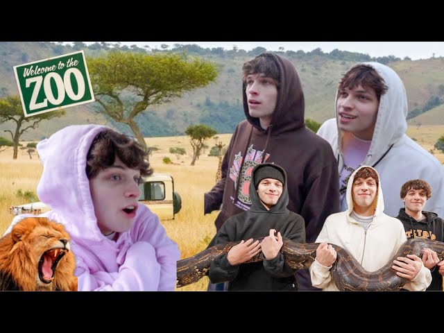 WE BOUGHT THE ZOO FOR A DAY | 24 HOUR CHALLENGE ! (2024) | Watch on Movi47