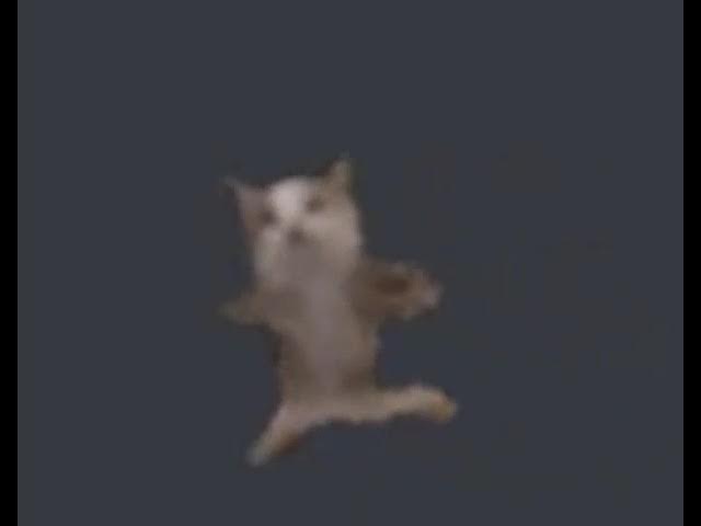 cats - the living tombstone 10 hours (10 horas xde)