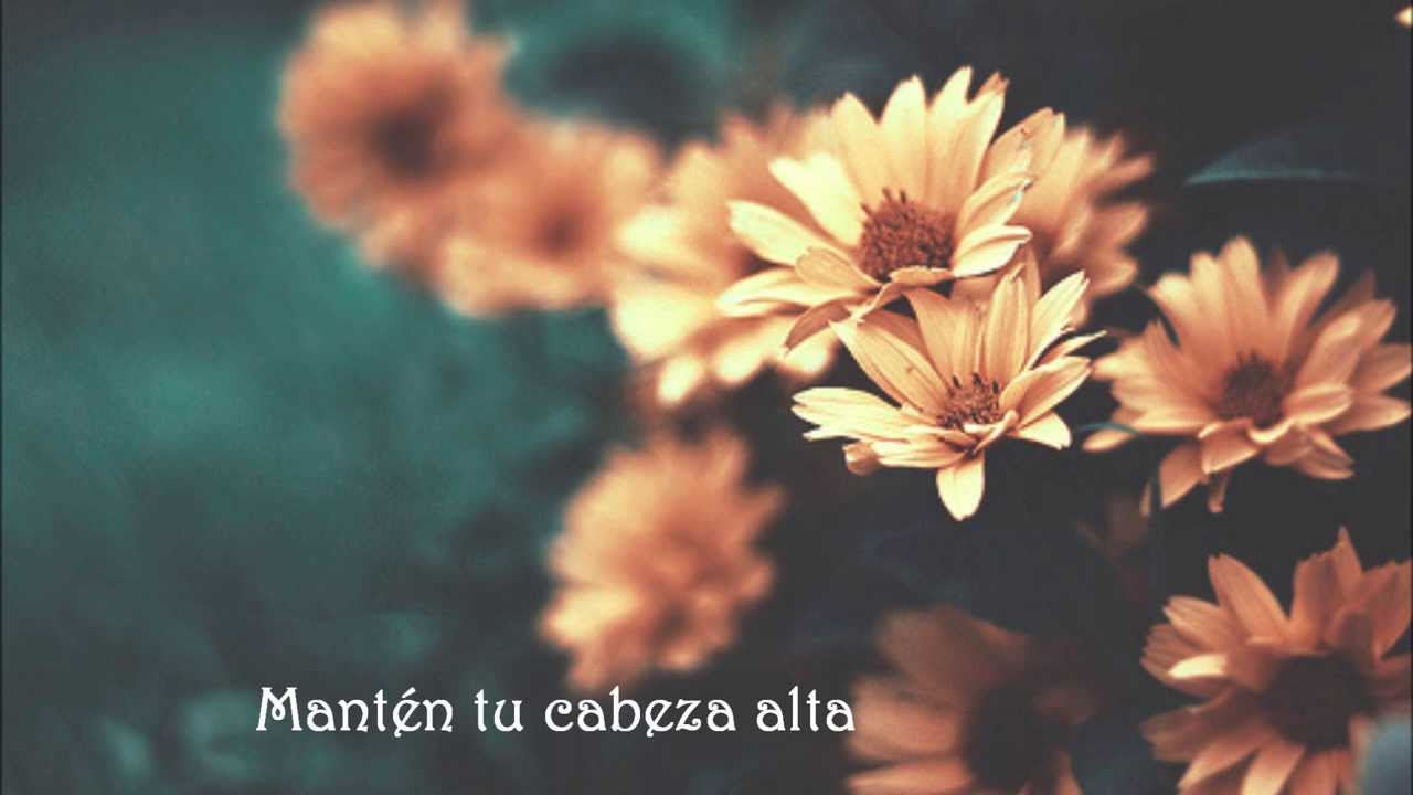 Stubborn love-The lumineers (subtitulado español) background