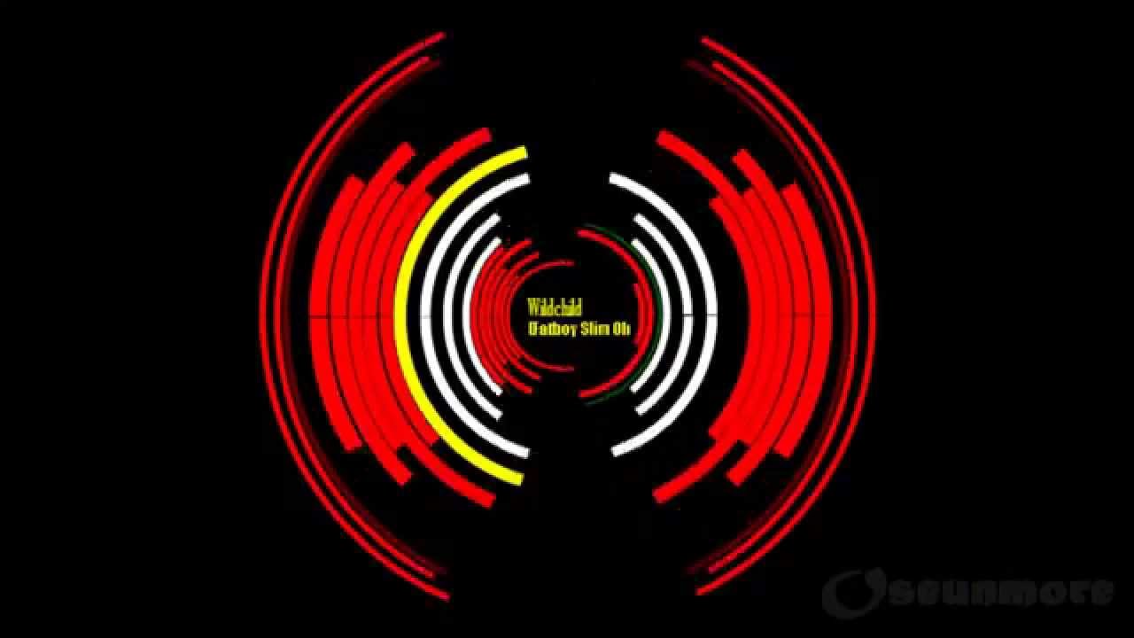 Renegade Master (Fatboy Slim Old Skool Mix) - Wildchild background