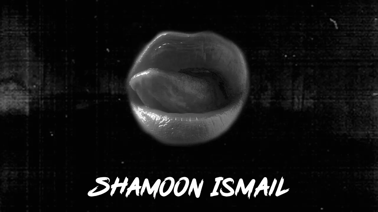 Shamoon Ismail - Rok Le (Official Audio) background