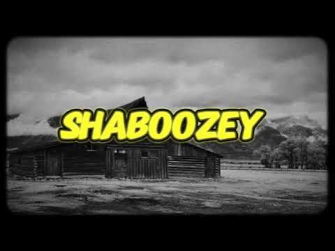 Shaboozey - A Bar Song (Tipsy) (feat. Willy Kay) background
