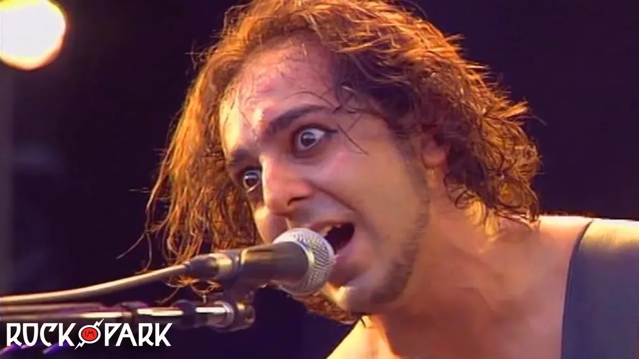 System Of A Down - Chop Suey! live 【Rock Im Park - 60fpsᴴᴰ】 backdrop
