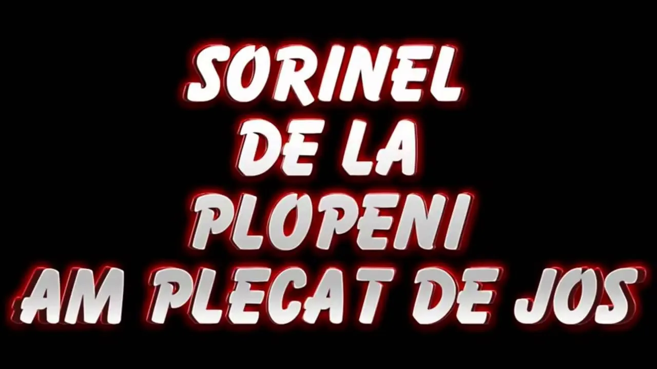 SORINEL DE LA PLOPENI AM PLECAT DE JOS 2014