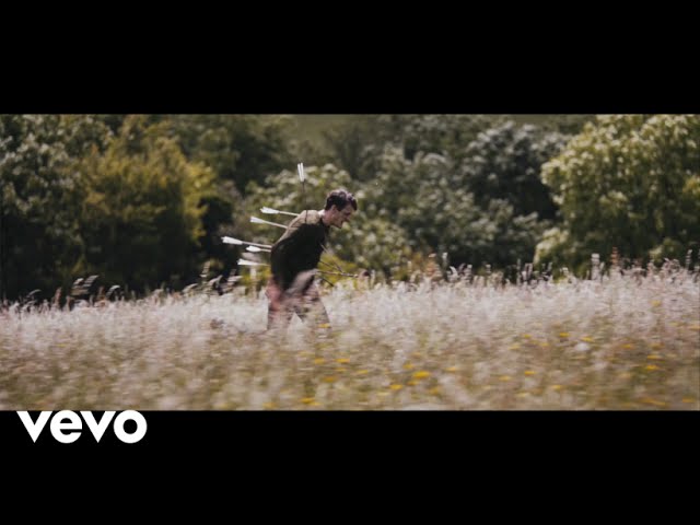 alt-j - Hunger Of The Pine background