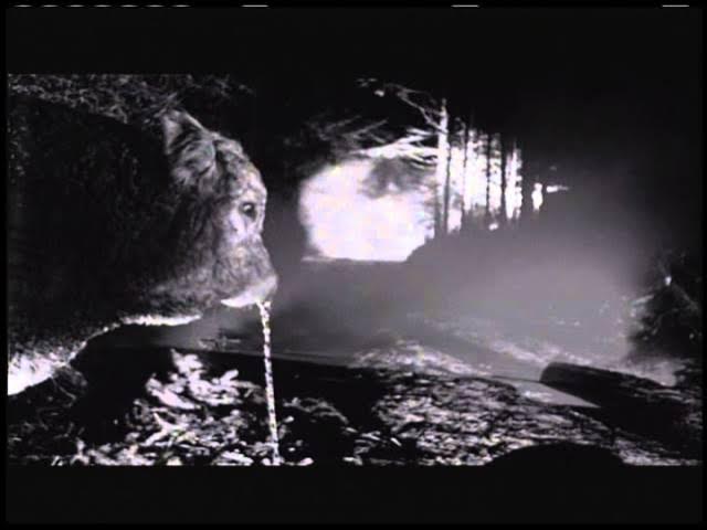 DEF LEPPARD - "Tonight" (Official Music Video) background