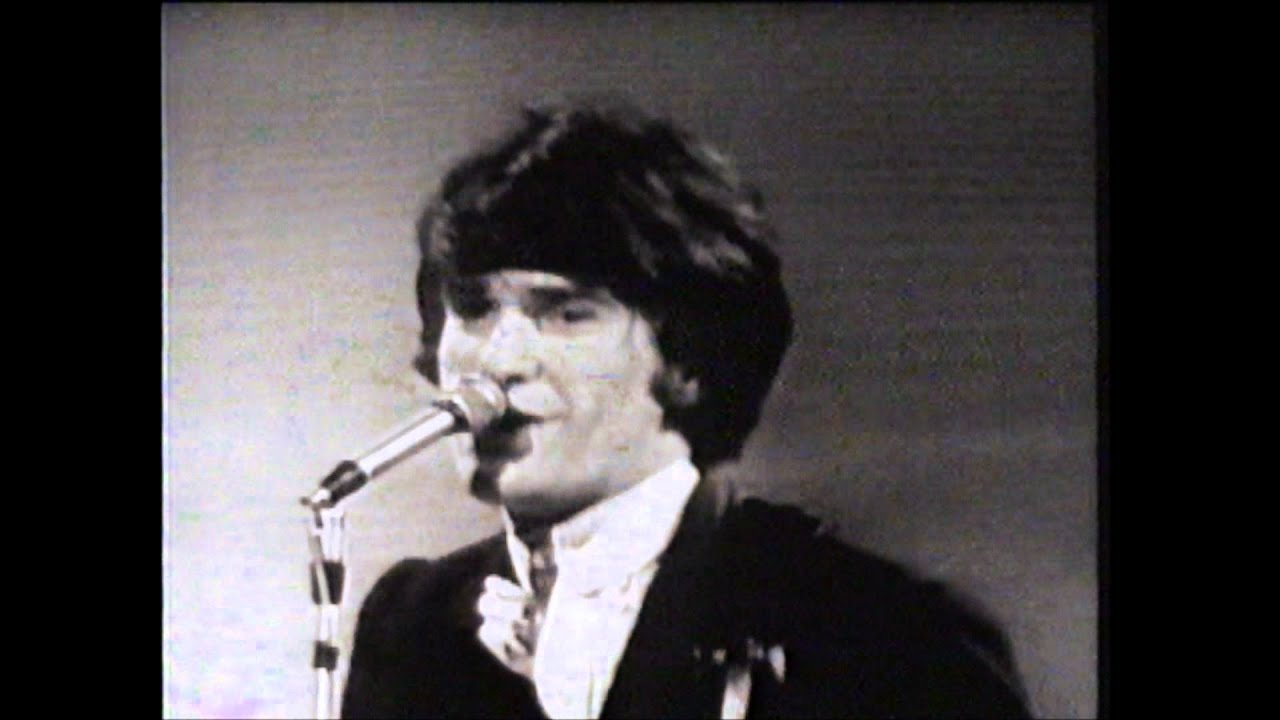 The Kinks - You really got me (1965) HD background