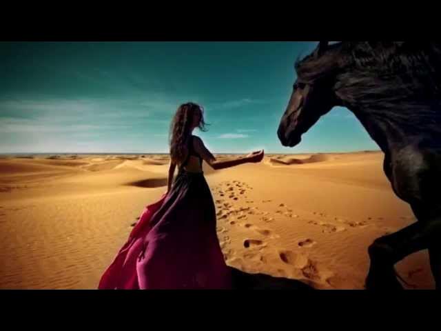 STING & CHEB MAMI - DESERT ROSE background