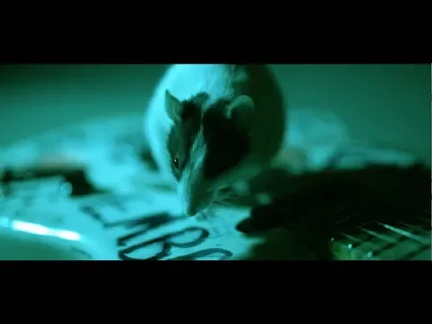 Alice In Chains - Never Fade (Official Video) background
