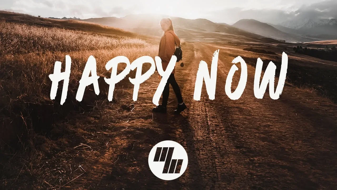 Zedd - Happy Now (Lyrics) With Elley Duhé background