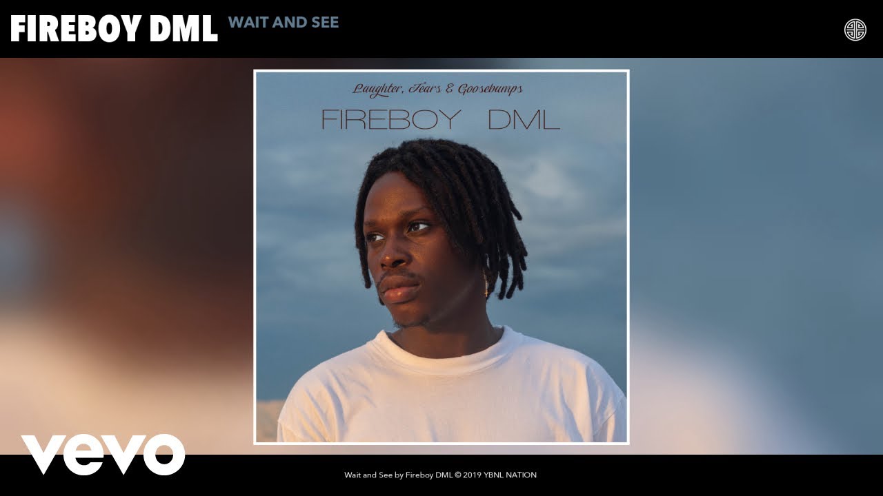 Fireboy DML - Wait and See (Audio)