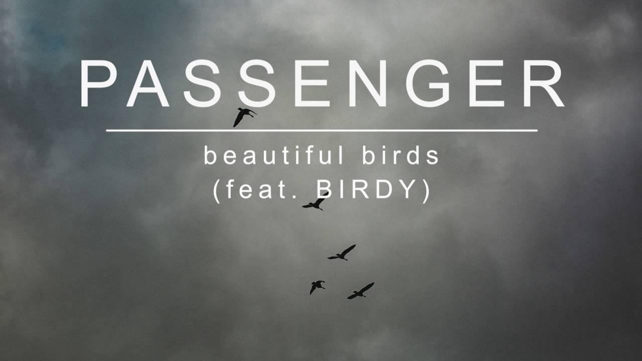Passenger | Beautiful Birds (feat. Birdy) (Official Album Audio) background
