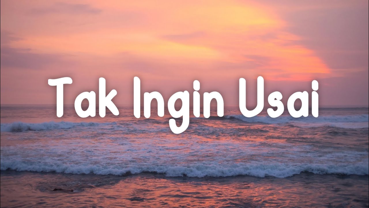 TAK INGIN USAI - KEISYA LEVRONKA LIRIK VIDEO background