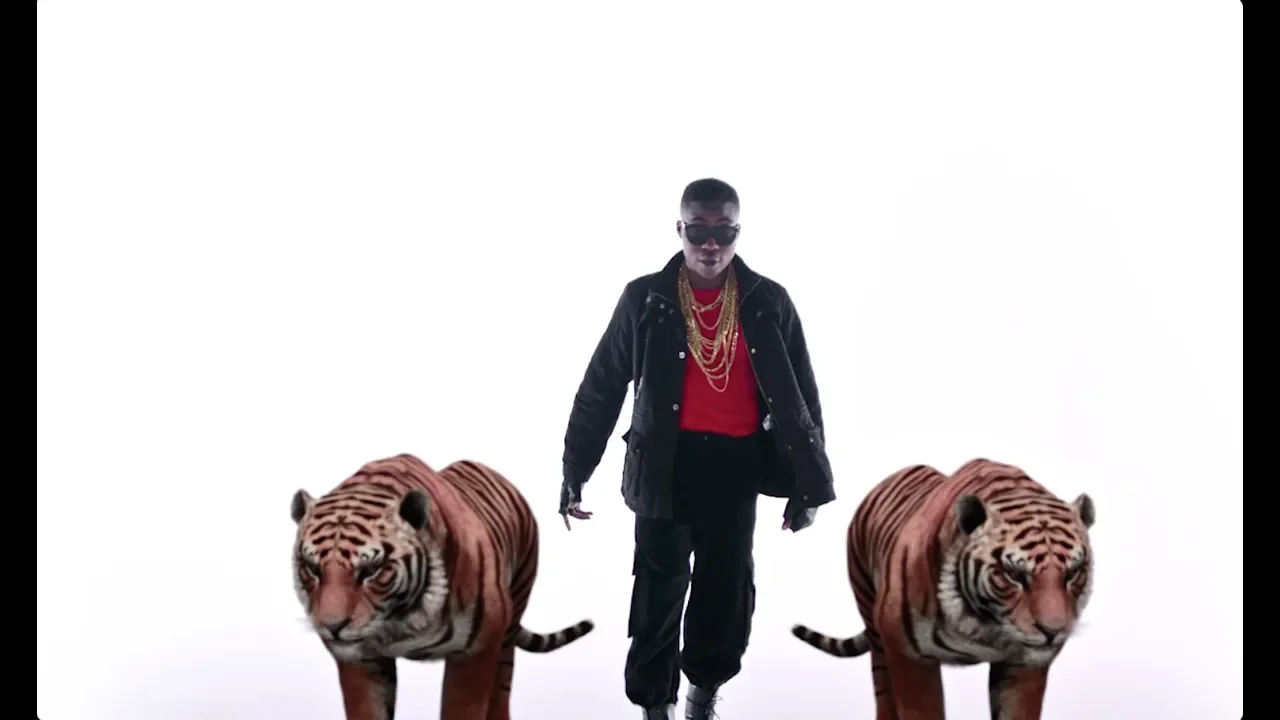Reekado Banks - Put In Pressure (Official Video) background