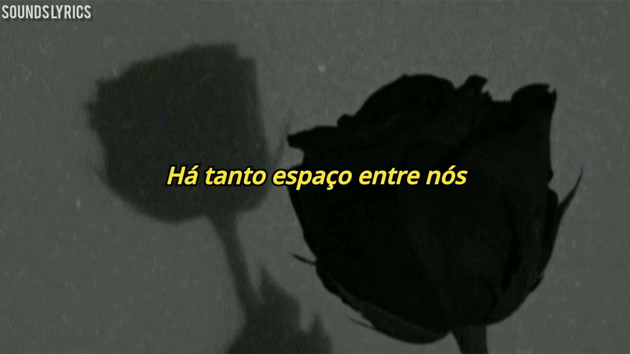 Adele - Love In The Dark (Legendado/Tradução)