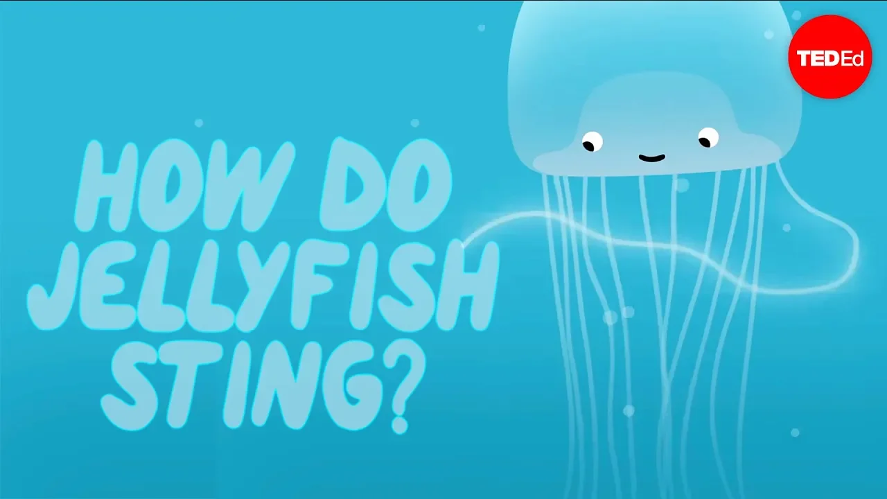 How does a jellyfish sting - Neosha S Kashef background