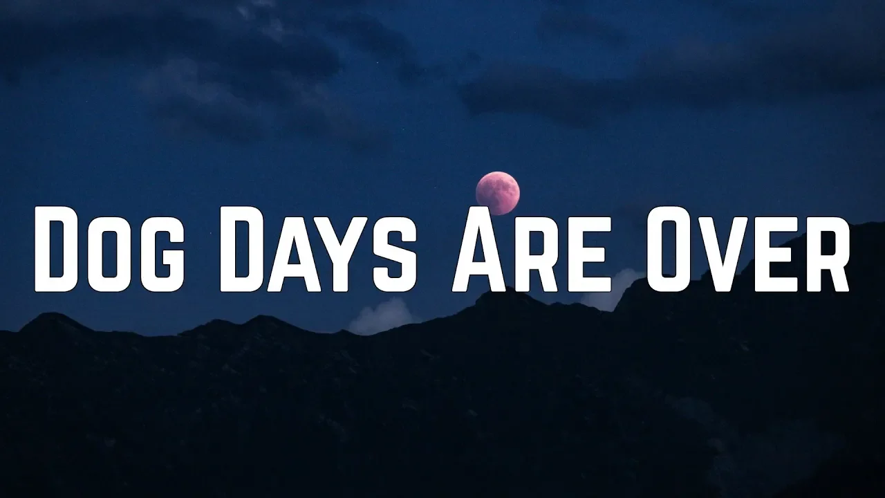 Florence + The Machine - Dog Days Are Over (Lyrics) background