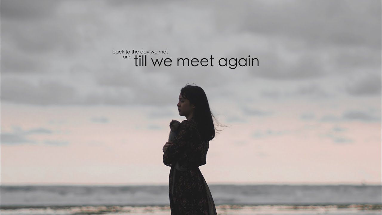 Alffy Rev - Till We Meet Again (ft Little Linka) Official Music Video