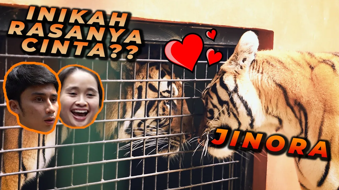 JINORA & ESHAN SUDAH MULAI JATUH CINTA ! SIAP DIGABUNG ! ft.Gritte Agatha (2020) | Watch on Movi47