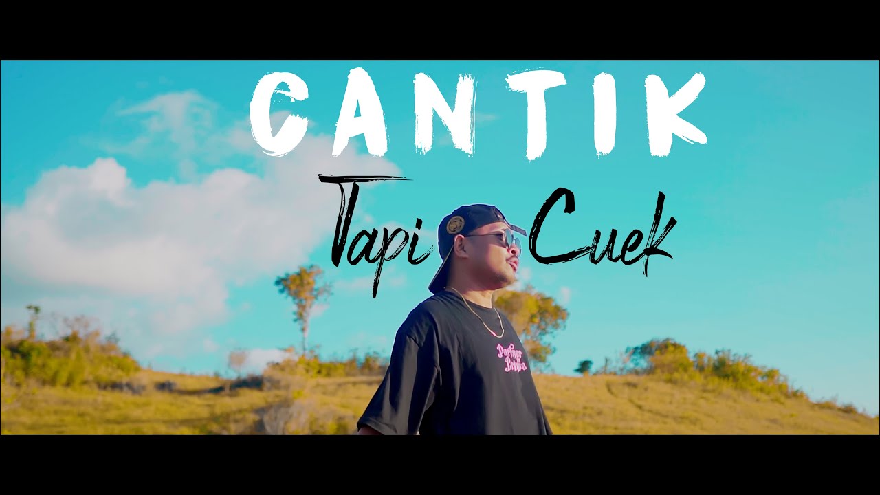 CANTIK TAPI CUEK - Dj Qhelfin (Official Video Musik 2024) background