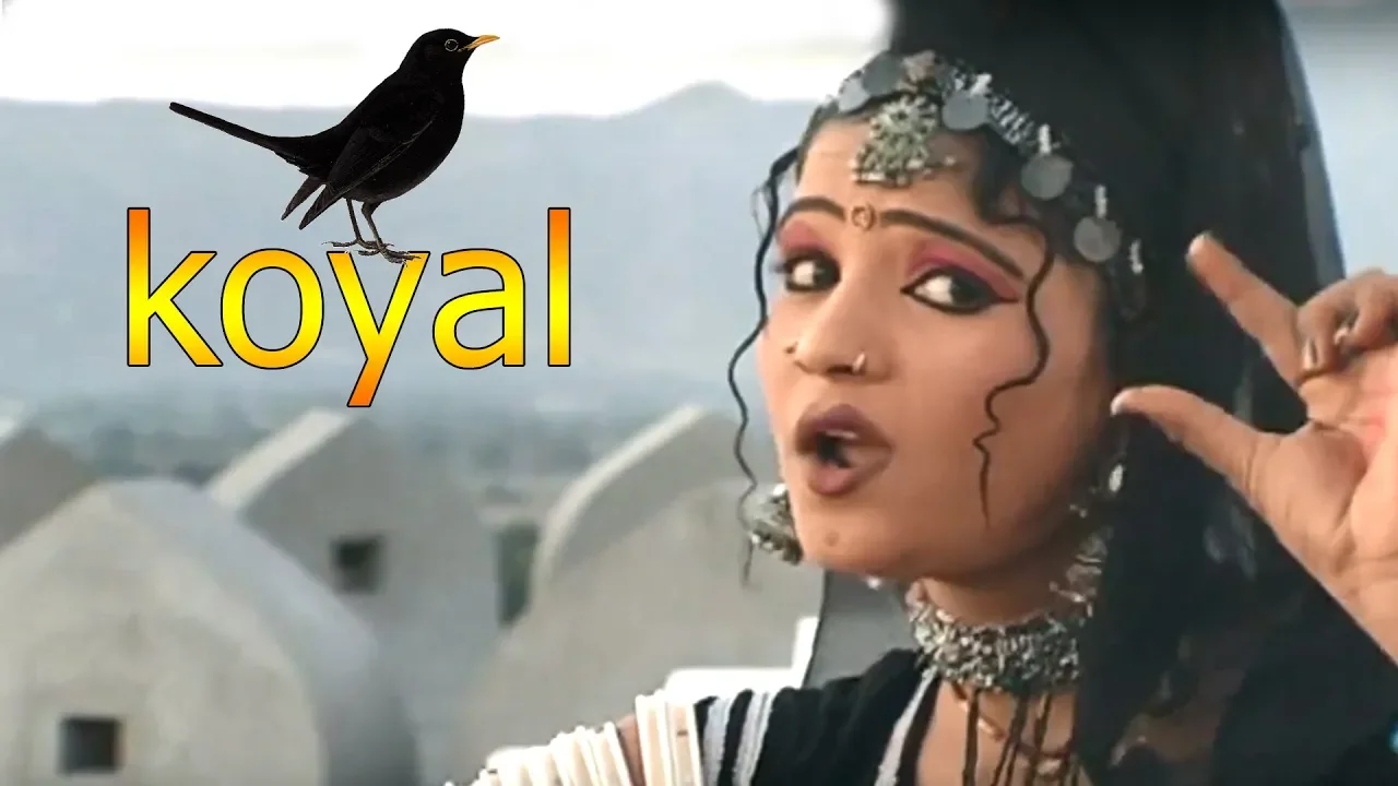 राजस्थान में ये प्यारा गाना जबरजस्त धूम मचा रहा है || Koyal|| कोयल || रानी रंगीली backdrop