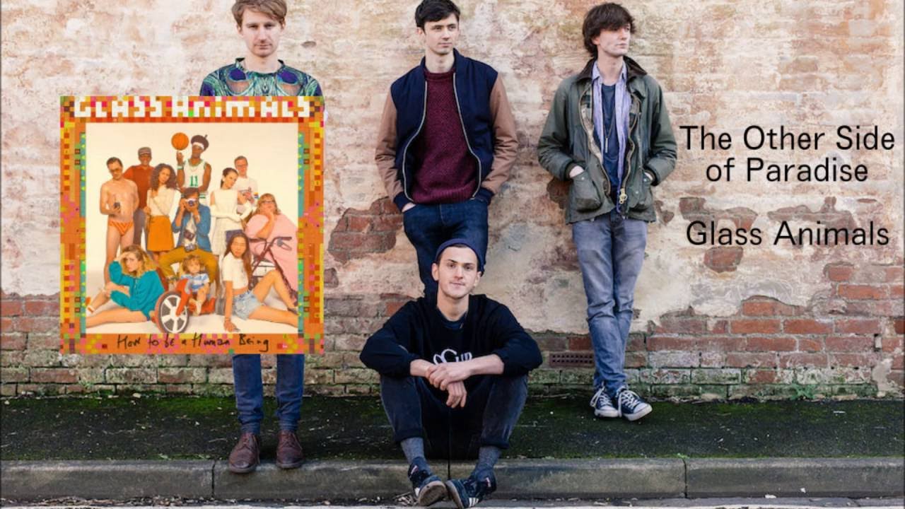 Glass Animals - The Other Side of Paradise background