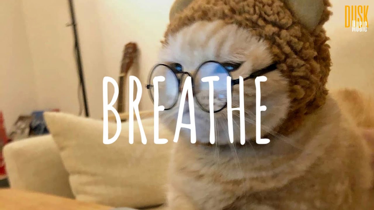Breathe - DJ Komang Rimex (Vietsub + Lyric) background