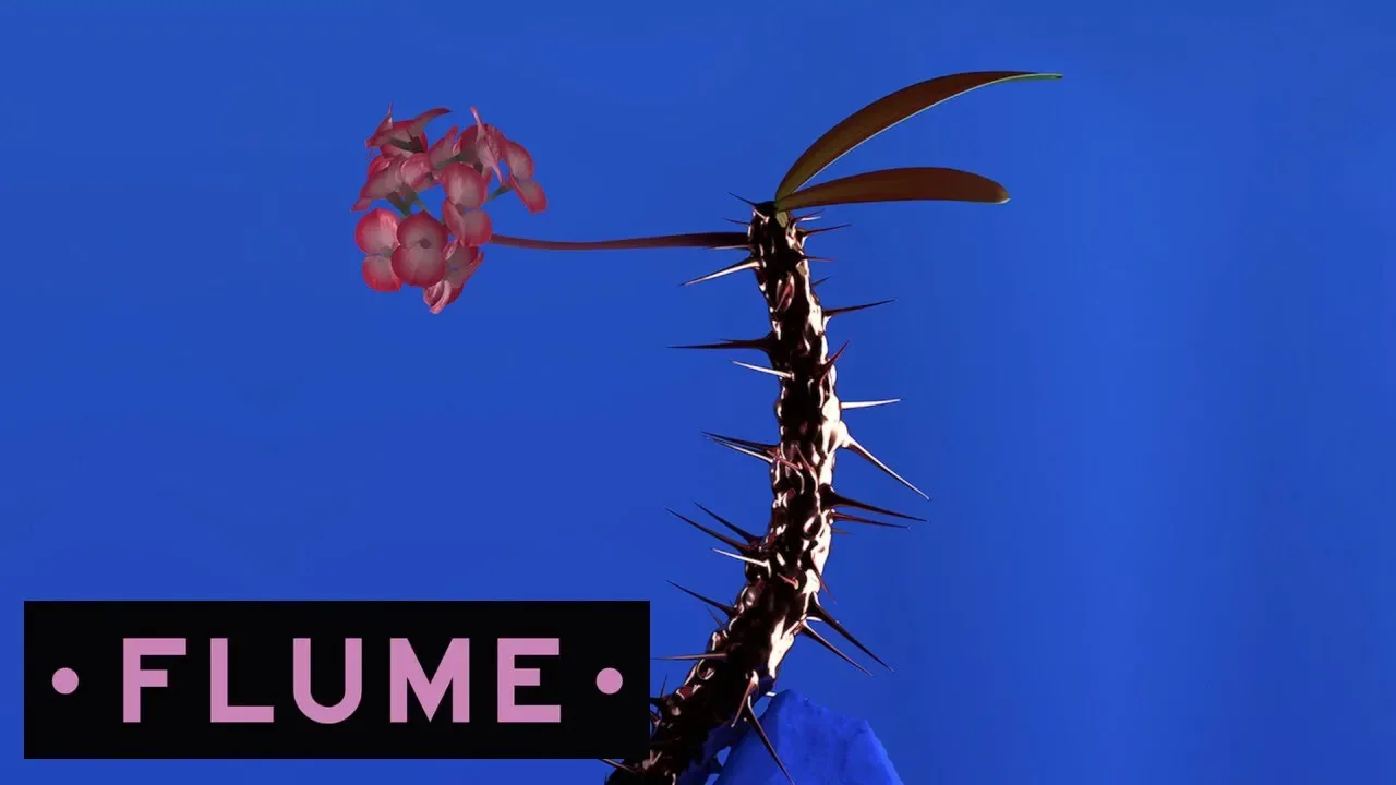Flume - Fantastic feat. Dave Glass Animals background