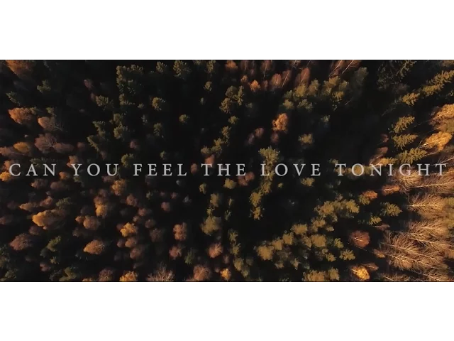 Passenger | Can You Feel The Love Tonight (Elton John cover) background