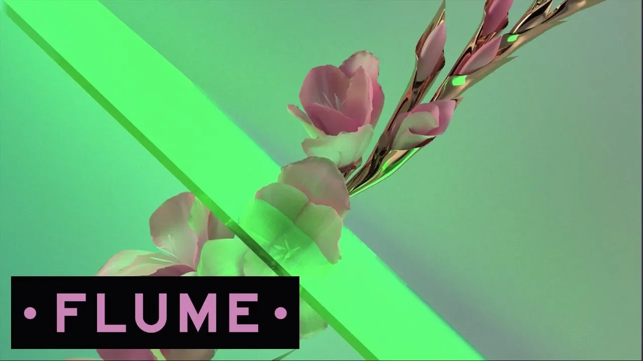 Flume - Never Be Like You feat. Kai (Disclosure Remix) background