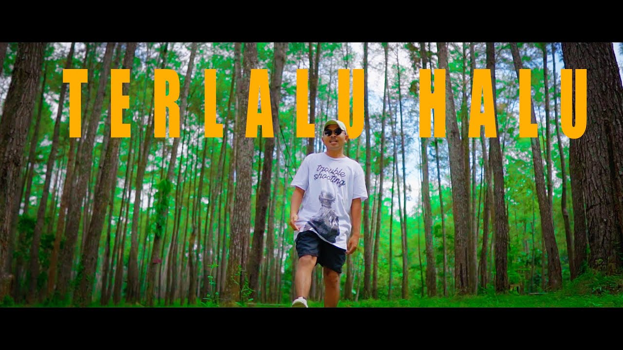 Terlalu Halu - Dj Qhelfin (Official Video Musik 2024) background