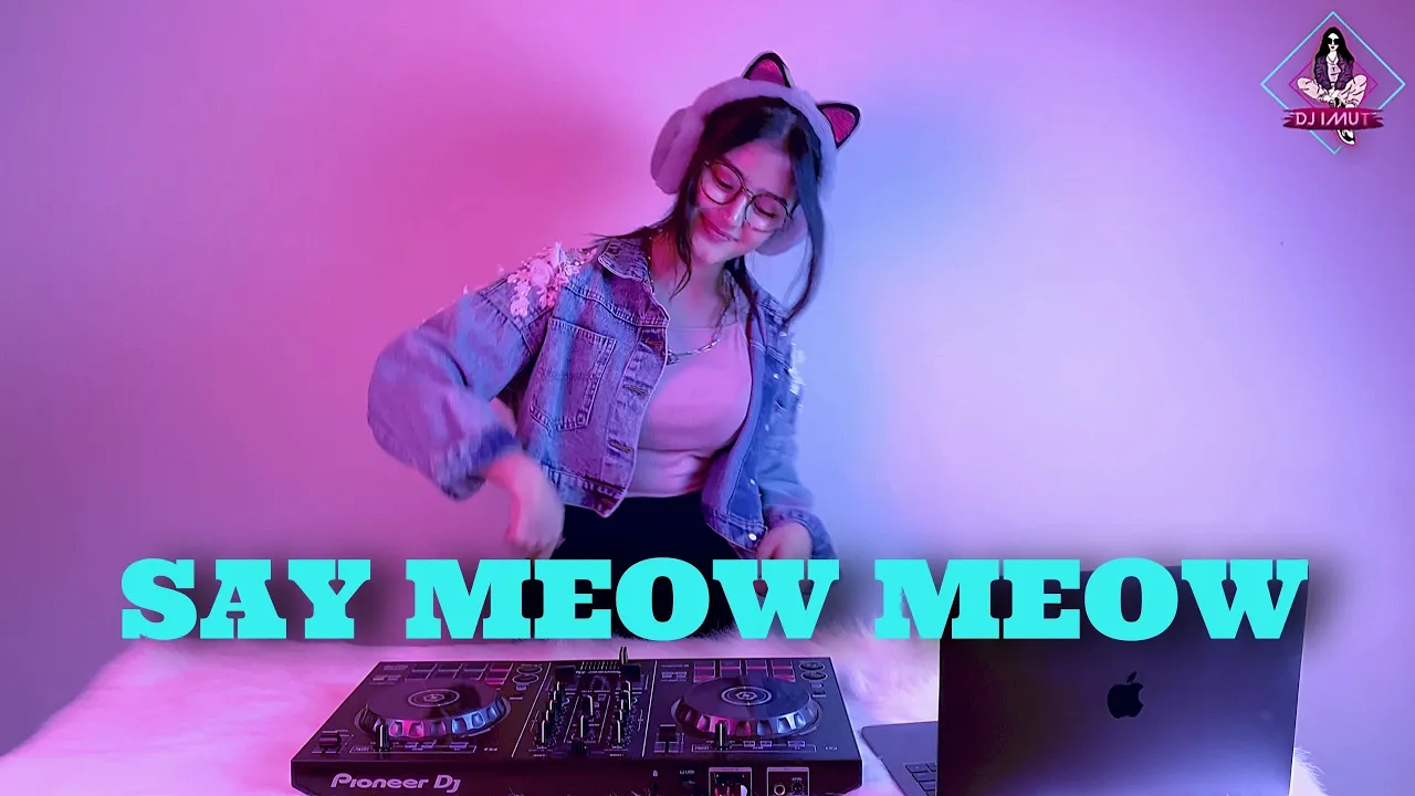 GHEA YOUBI GOYANG LEARN TO MEOW ( REMIX DJ IMUT )