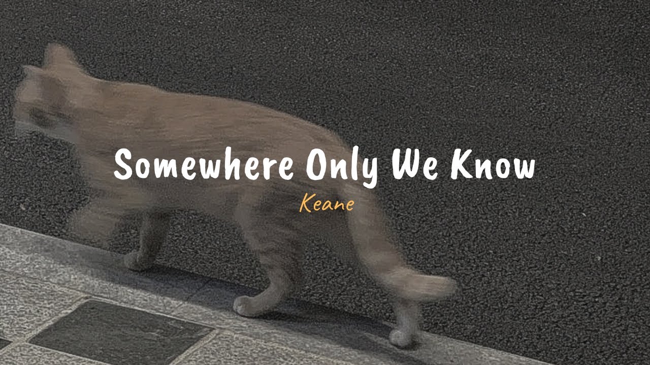 Keane - Somewhere Only We Know (speed up, reverb + lyrics) backdrop