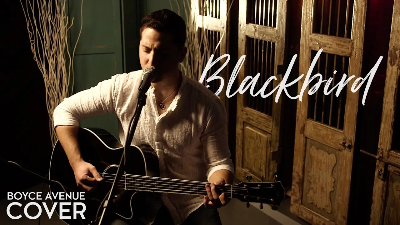 Blackbird - The Beatles (Boyce Avenue acoustic cover) on Spotify & Apple background