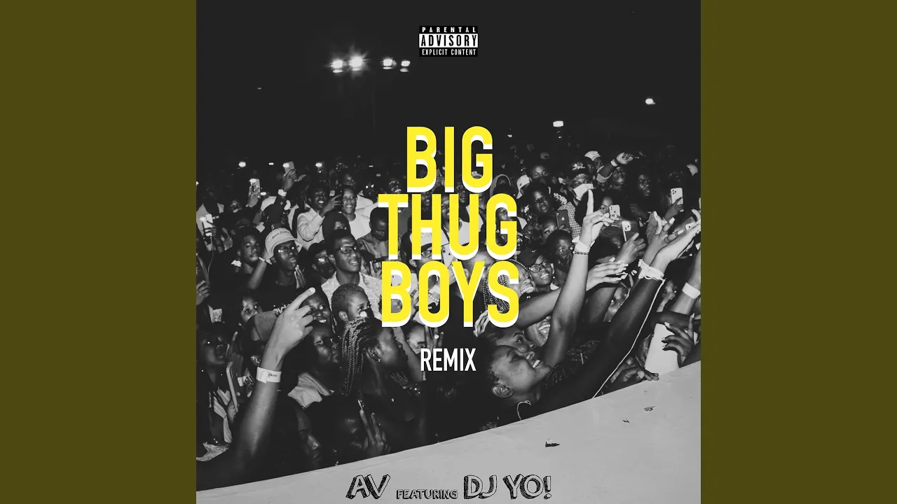 Big Thug Boys (Dj Yo! Remix) background