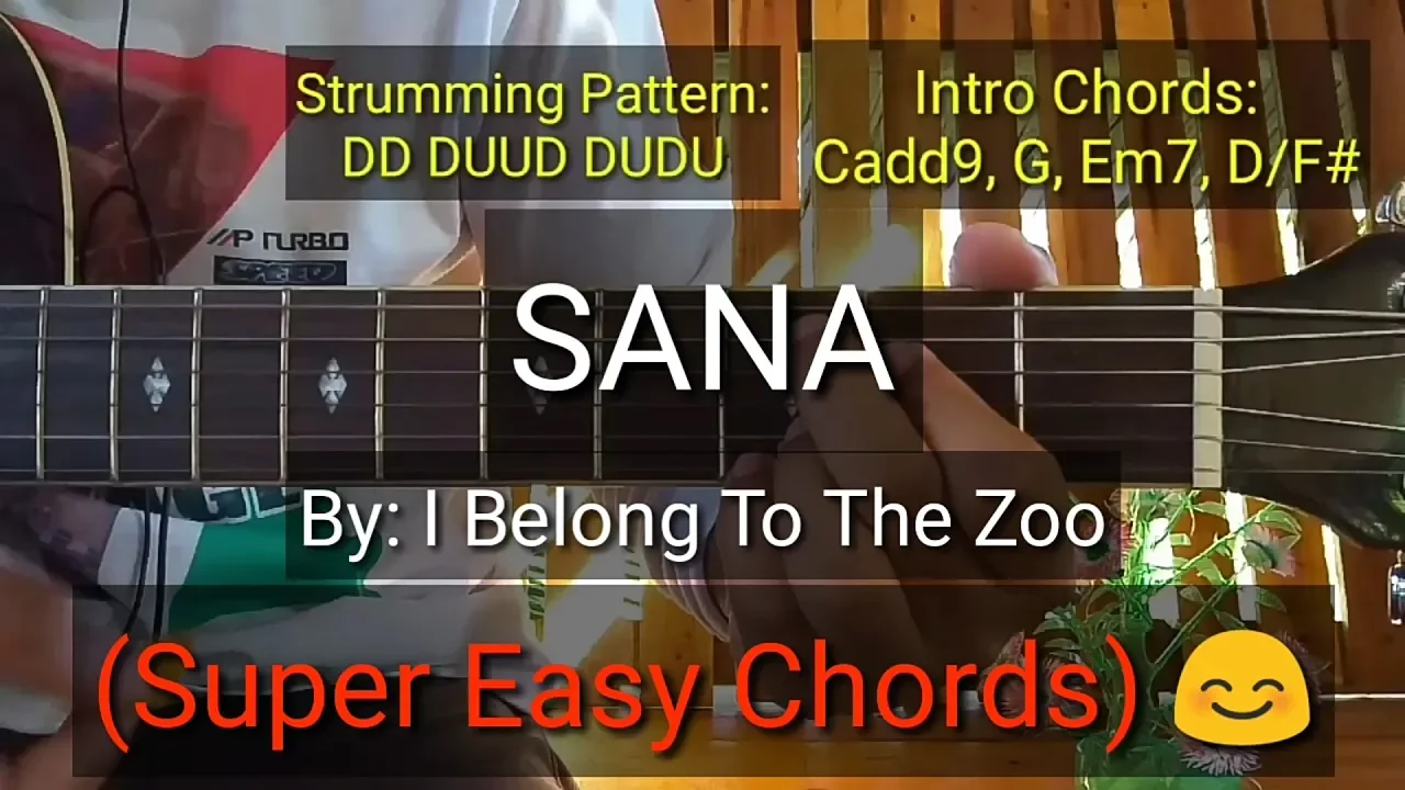 Sana - I Belong To The Zoo (Super Easy Chords) (2019) | Watch on Movi47