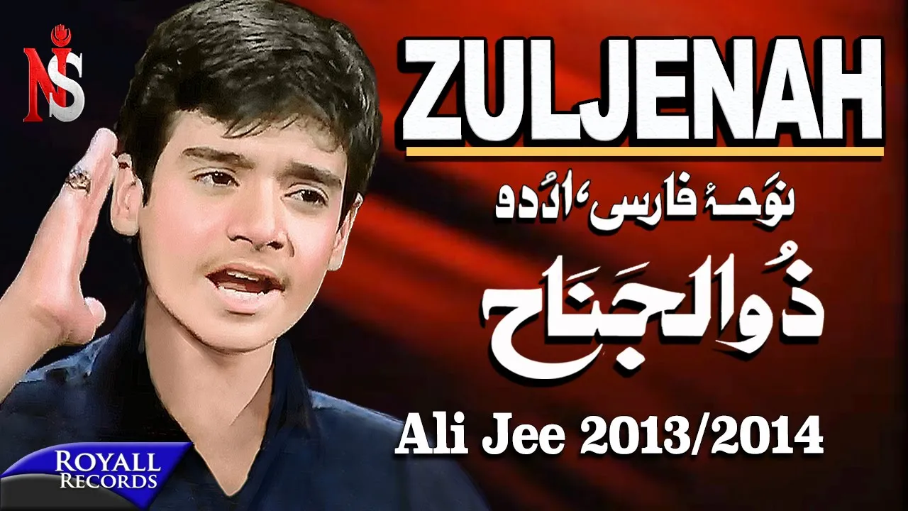 Ali Jee | Zuljenah | 2013-2014 | علی جی شگفت انگیز بچه پاکستان background