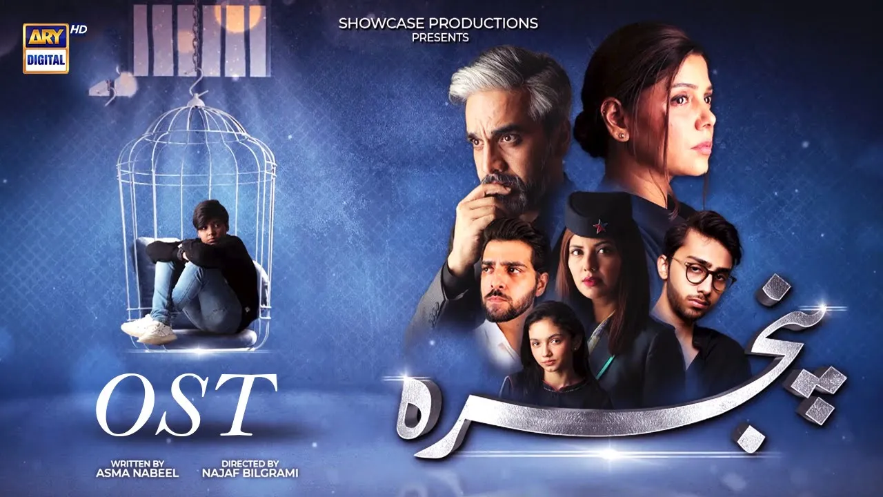 Pinjra OST | Hadiqa Kiani | Aashir Wajahat | ARY Digital background