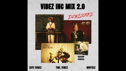 VIBEZ INC MIX 2 |Seyi Vibez| Tml Vibez| Muyeez