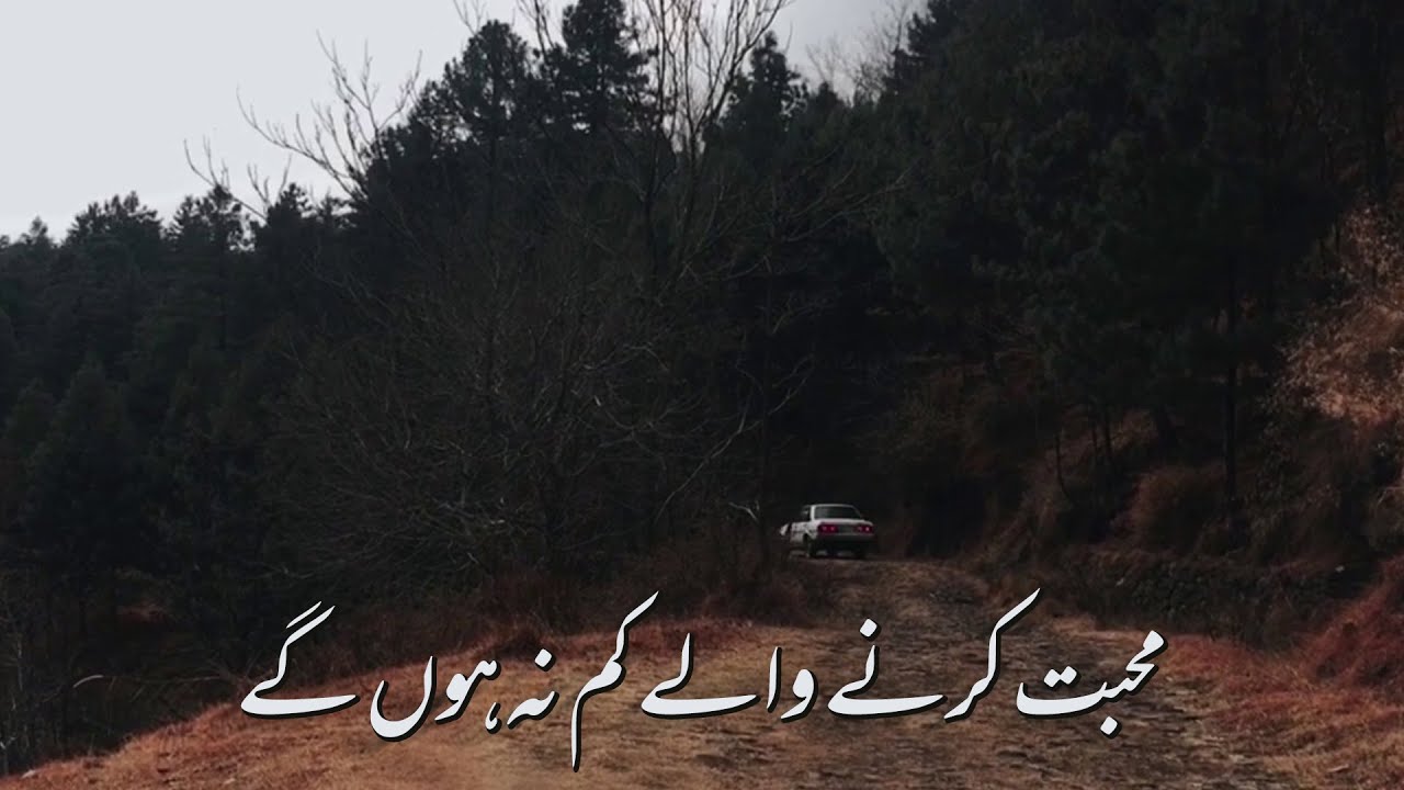 Mohabbat Karne Wale - Ali Sethi | Aesthetics Ψ§Ψ±Ψ―Ω background