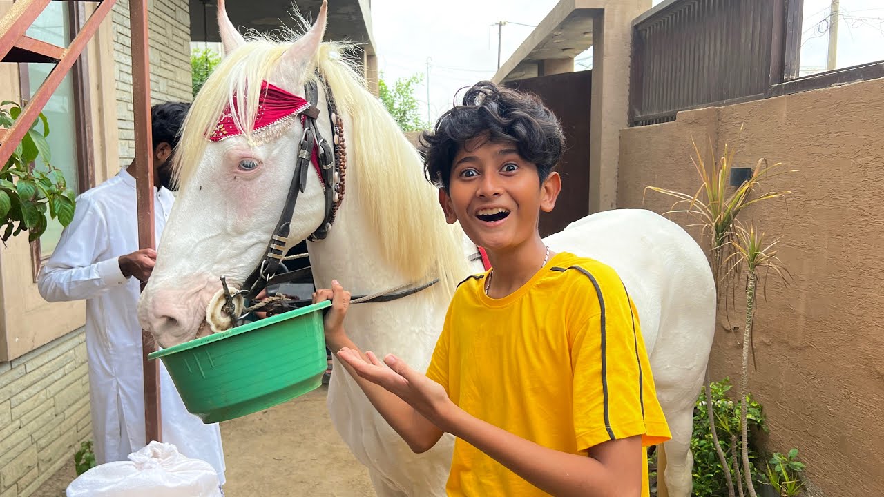New Ghar Mein Horse Le Ayeππ