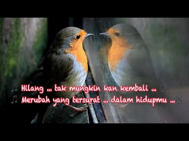 Pergi Selamanya - KAMIKAZE ~lirik~ background